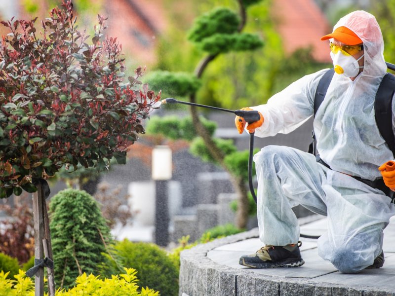 Esenyurt Haşere İlaçlama